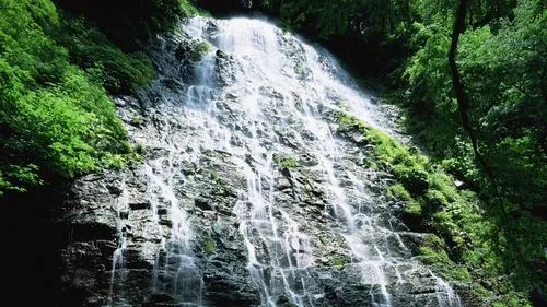 智能智能高性能